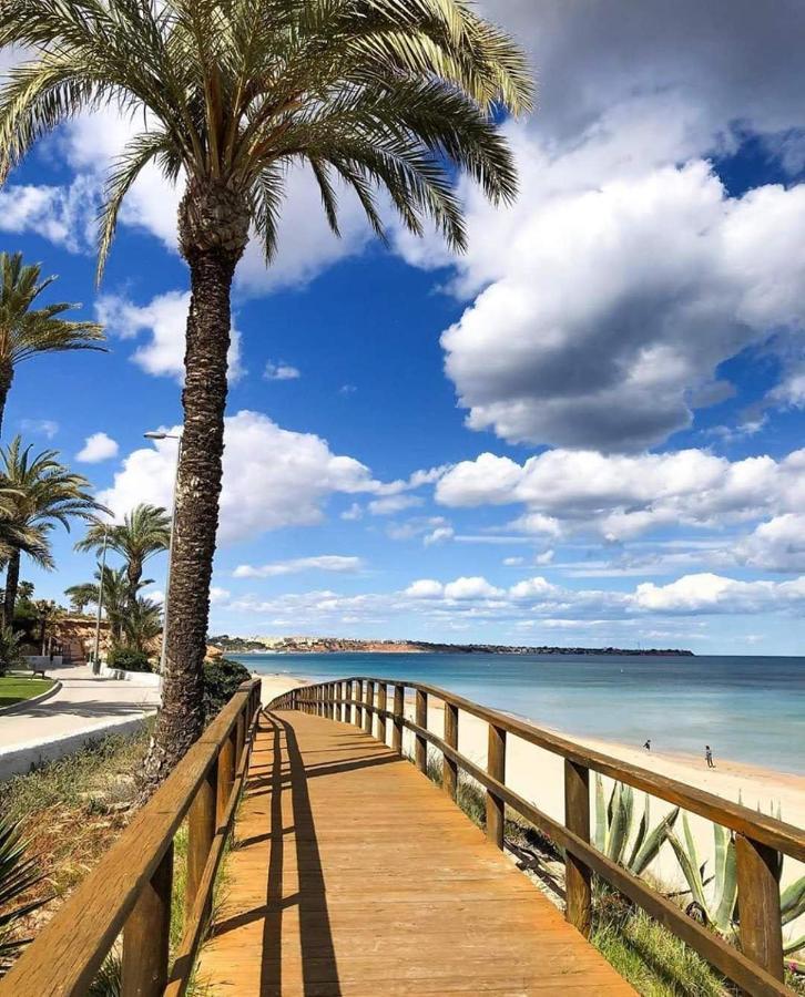 Apartamento Del Nino Campoamor Dış mekan fotoğraf