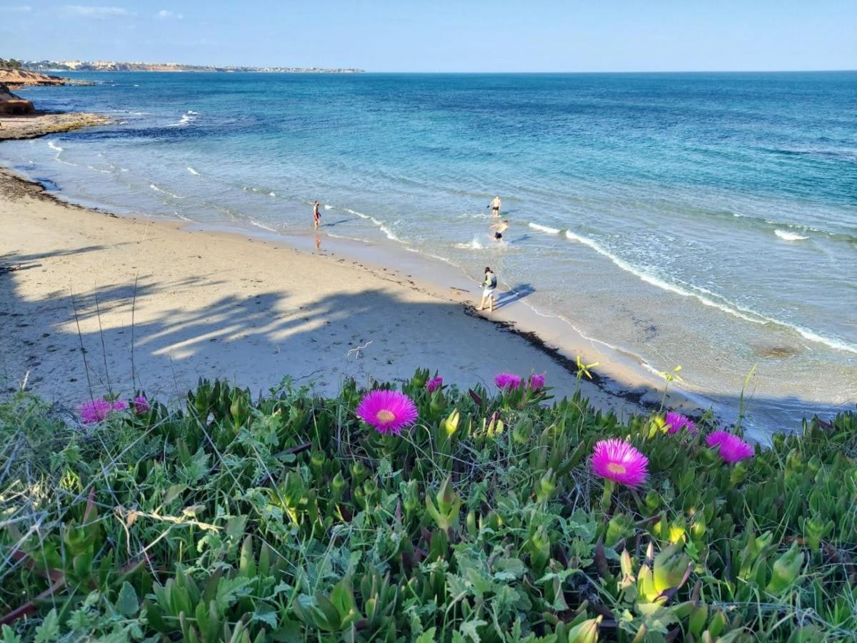 Apartamento Del Nino Campoamor Dış mekan fotoğraf